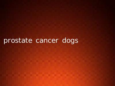 prostate cancer dogs