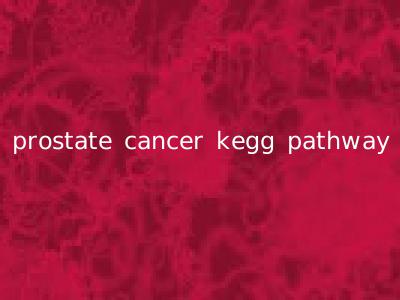 prostate cancer kegg pathway