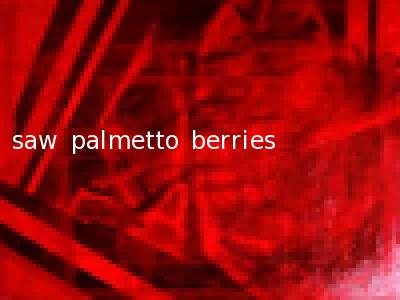 saw palmetto berries